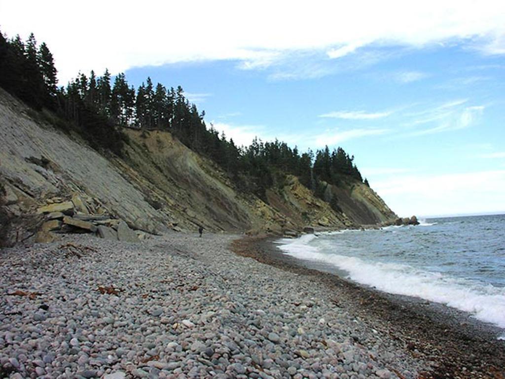 Maison d'hôtes Breton Cove Farmhouse à Indian Brook Extérieur photo